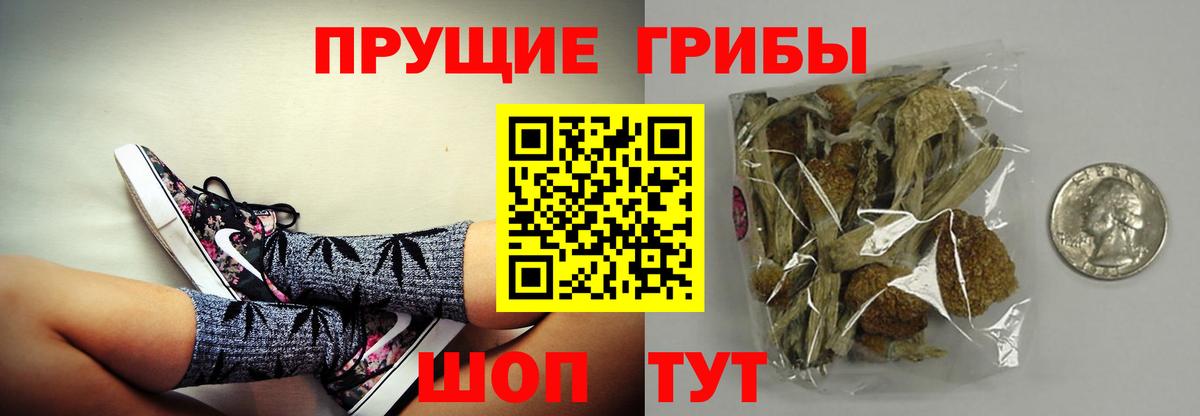 Волхов  Галлюциногенные грибы мухоморы  Вход с VPN 